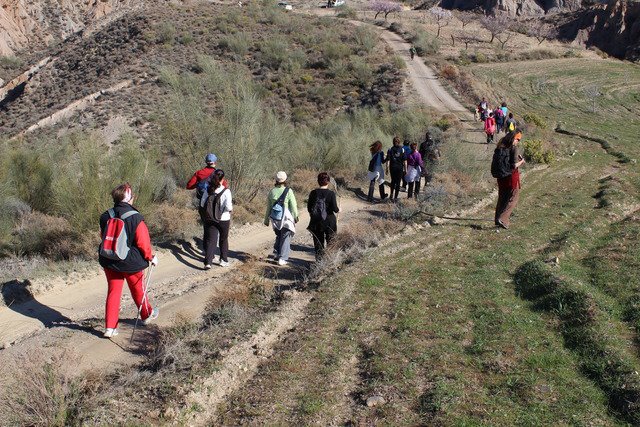 ruta-mairena ruta-mairena