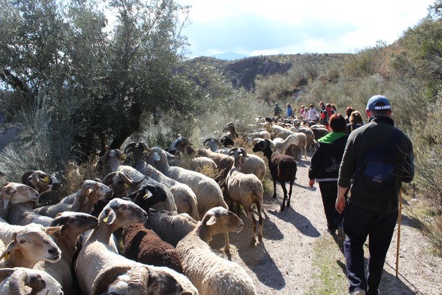 ruta-mairena7 ruta-mairena7